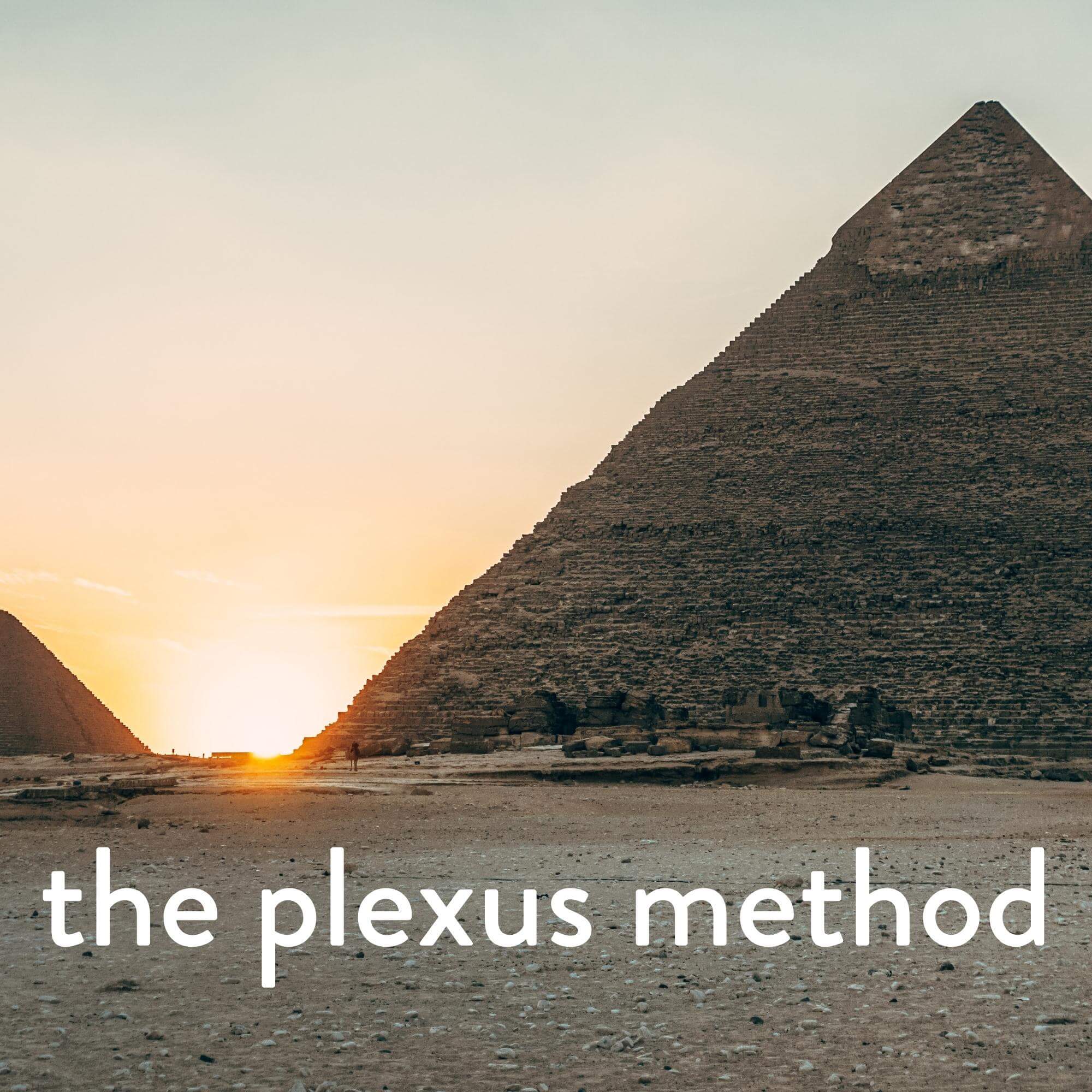Plexus Shoulder elasticity